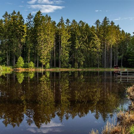 Nový RychnovArktik Lesni Mlynアパートメント エクステリア 写真